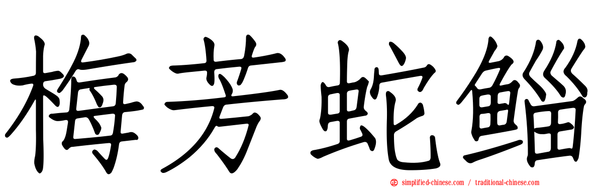 梅芳蛇鲻