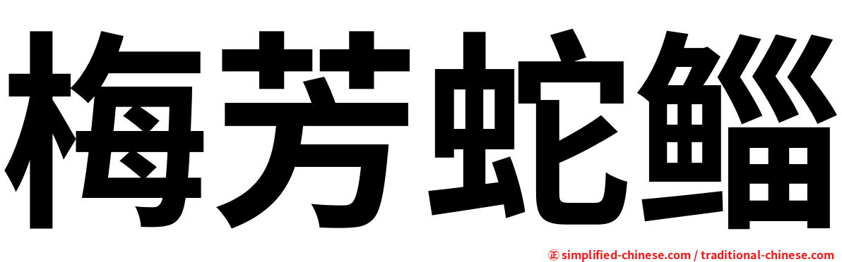 梅芳蛇鲻