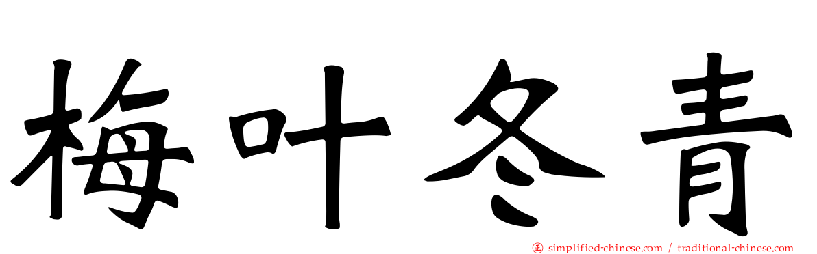 梅叶冬青