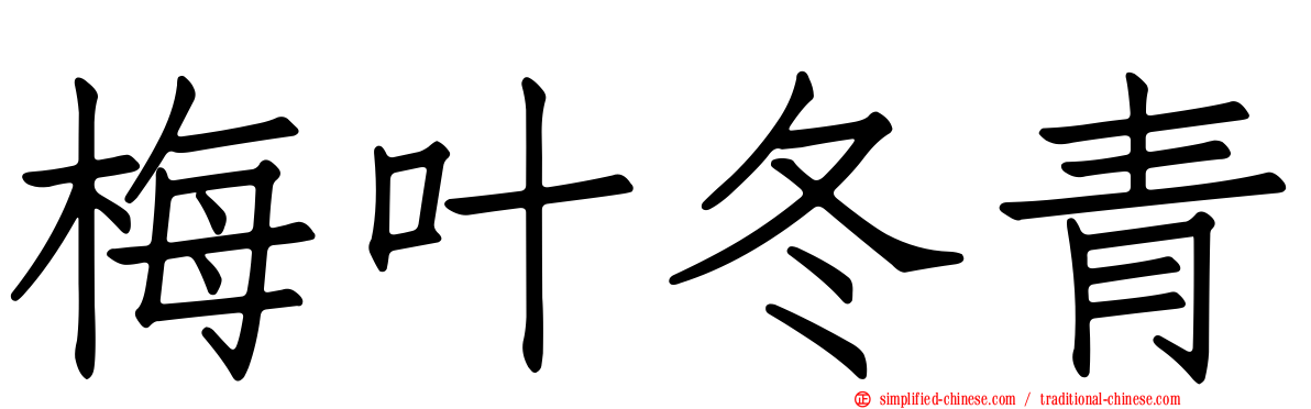 梅叶冬青