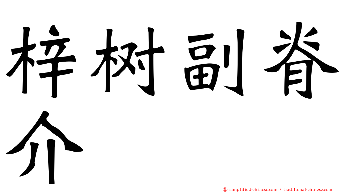 梓树副脊介