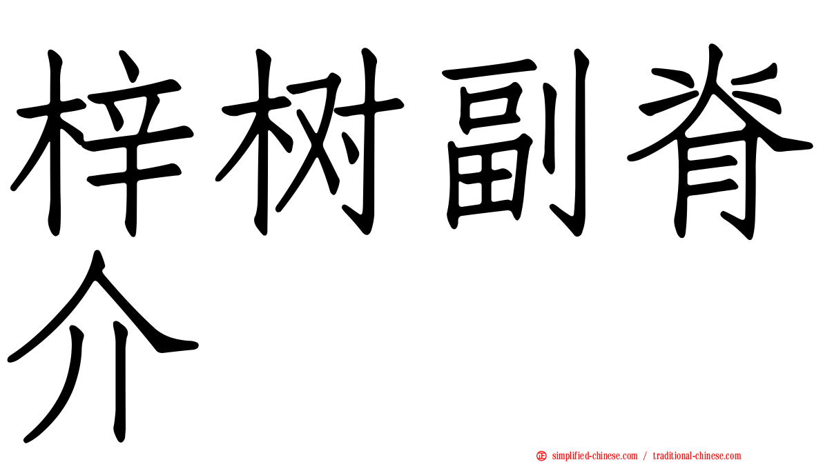 梓树副脊介