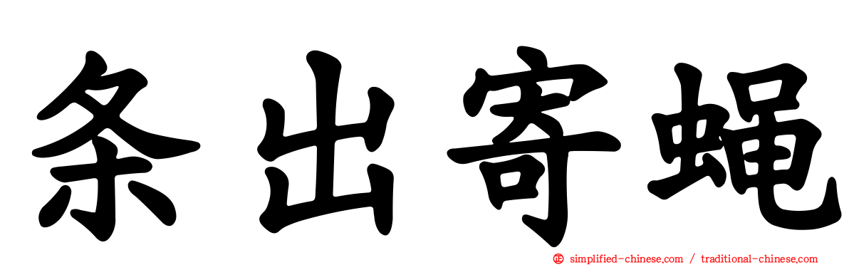 条出寄蝇