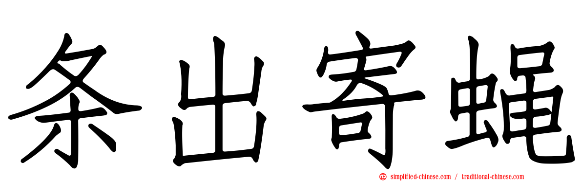 条出寄蝇