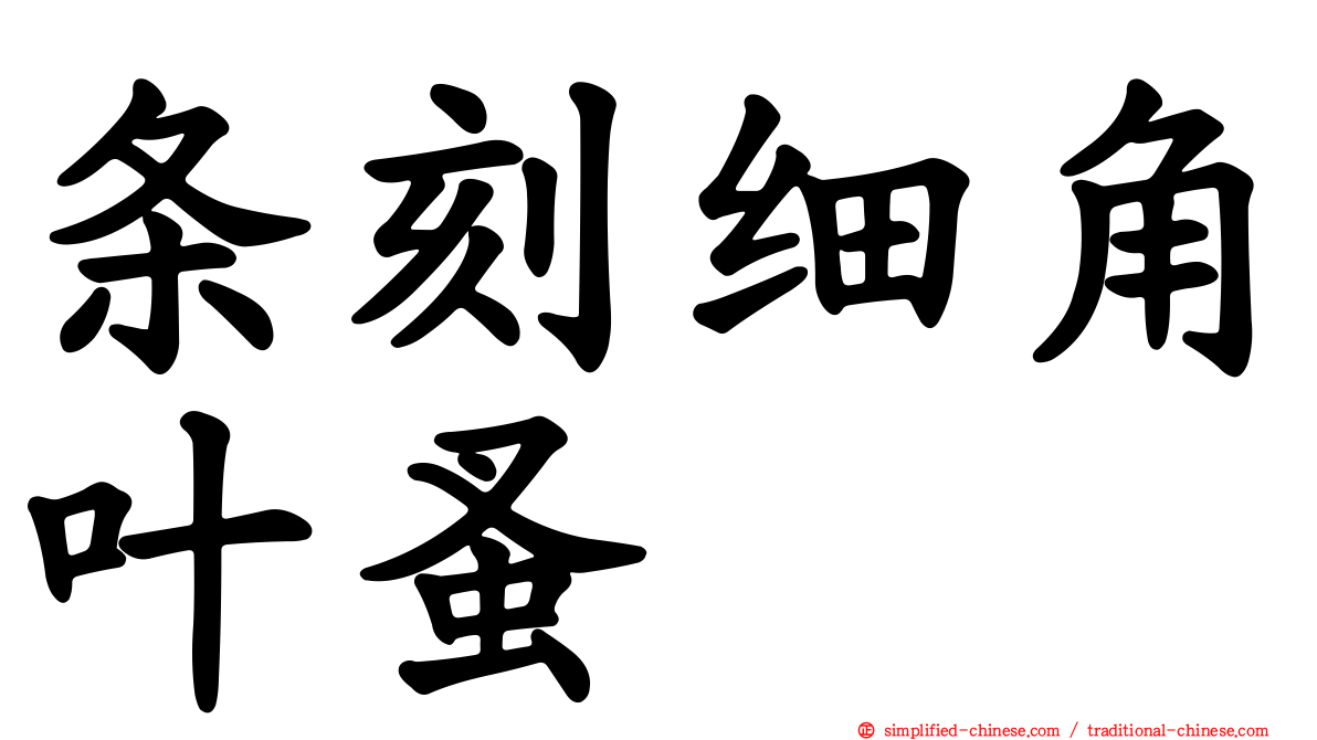 条刻细角叶蚤