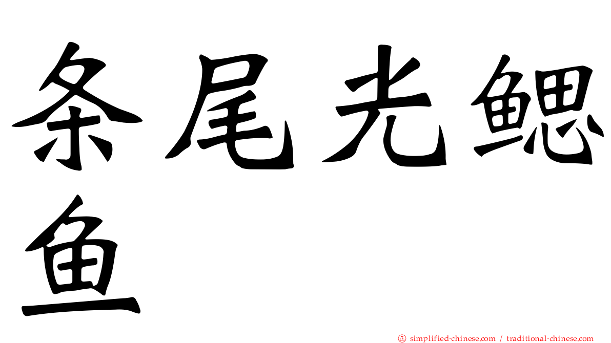 条尾光鳃鱼