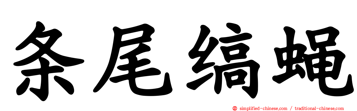 条尾缟蝇