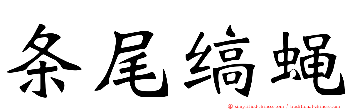 条尾缟蝇