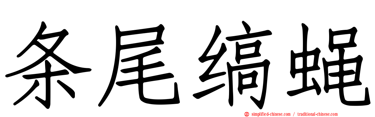 条尾缟蝇