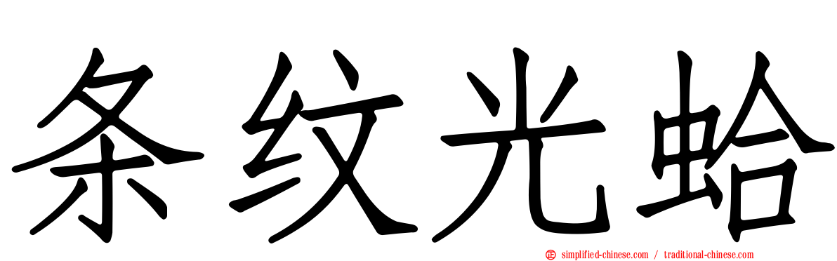 条纹光蛤