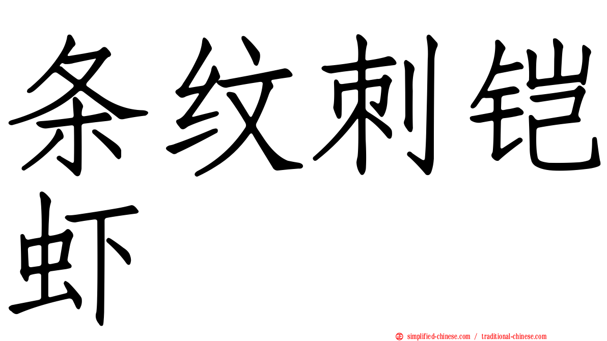 条纹刺铠虾