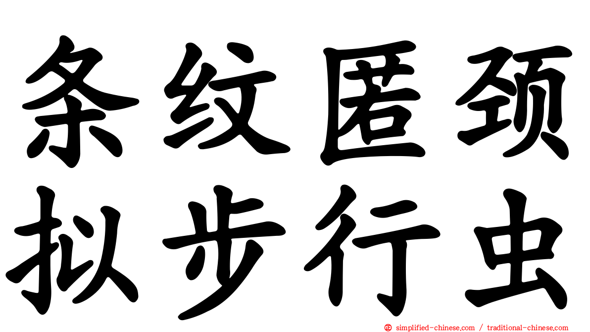 条纹匿颈拟步行虫