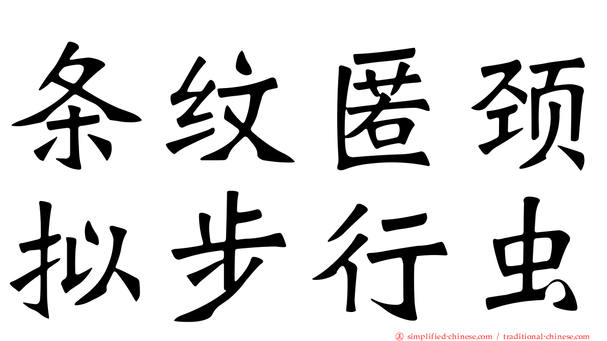 条纹匿颈拟步行虫