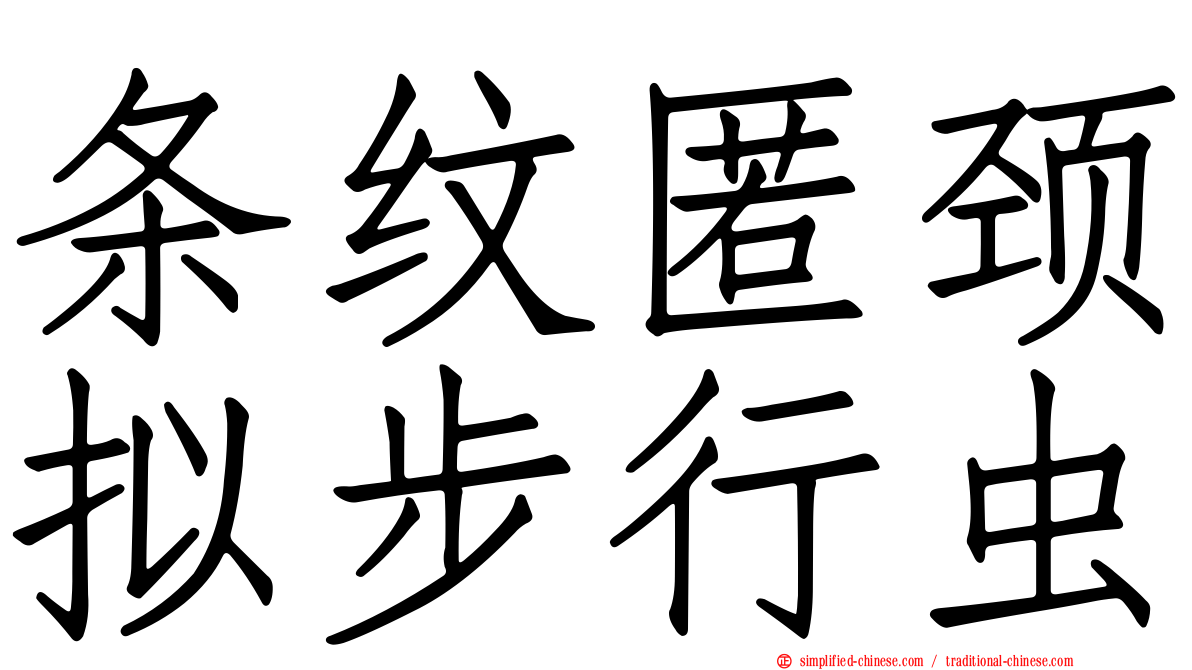 条纹匿颈拟步行虫
