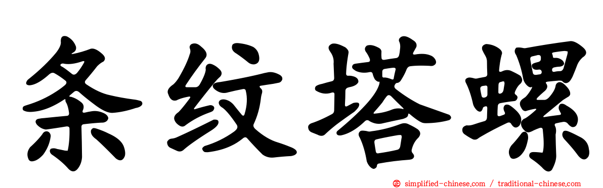 条纹塔螺