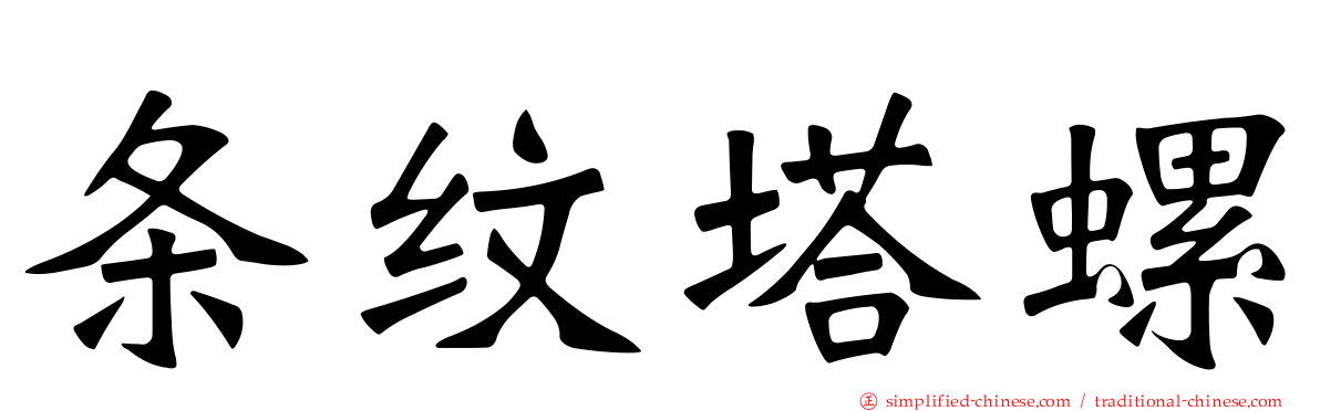 条纹塔螺