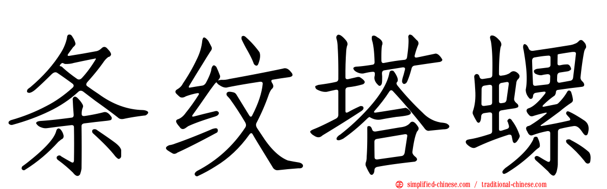 条纹塔螺