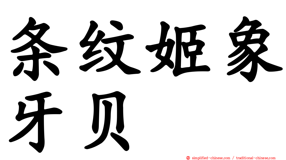 条纹姬象牙贝