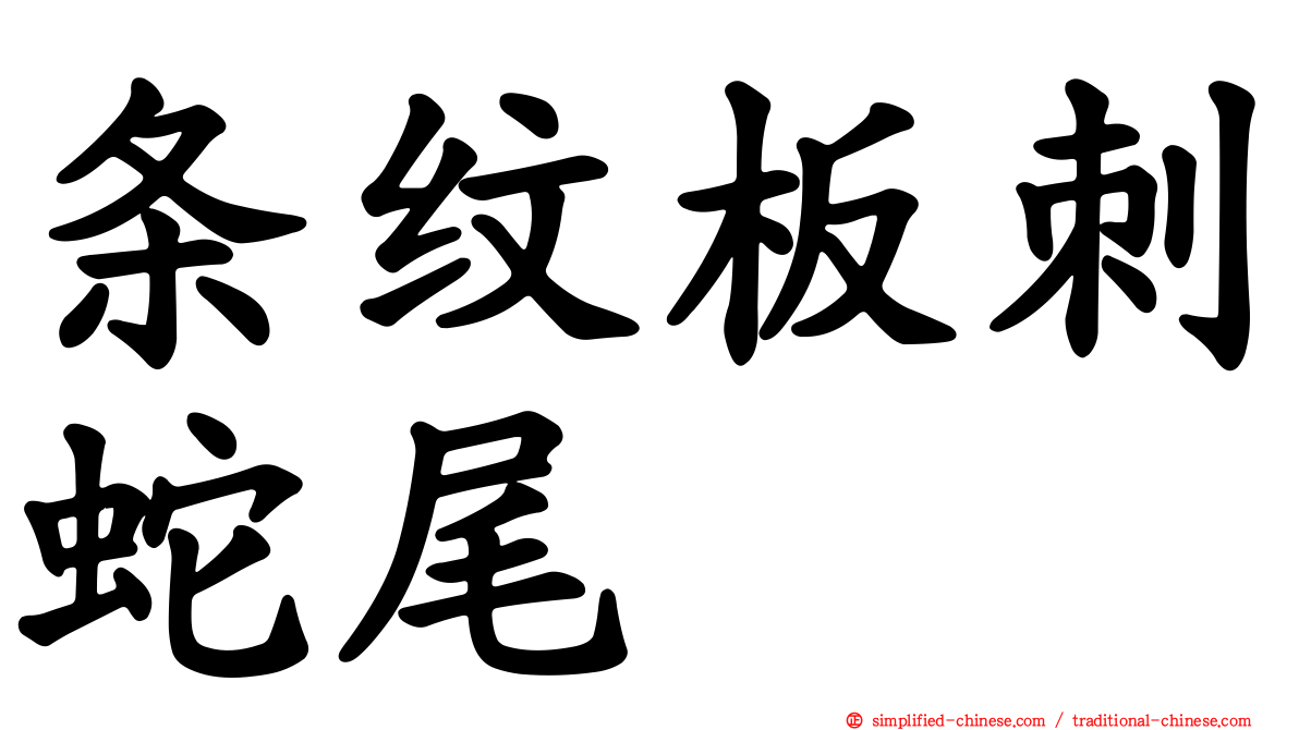 条纹板刺蛇尾