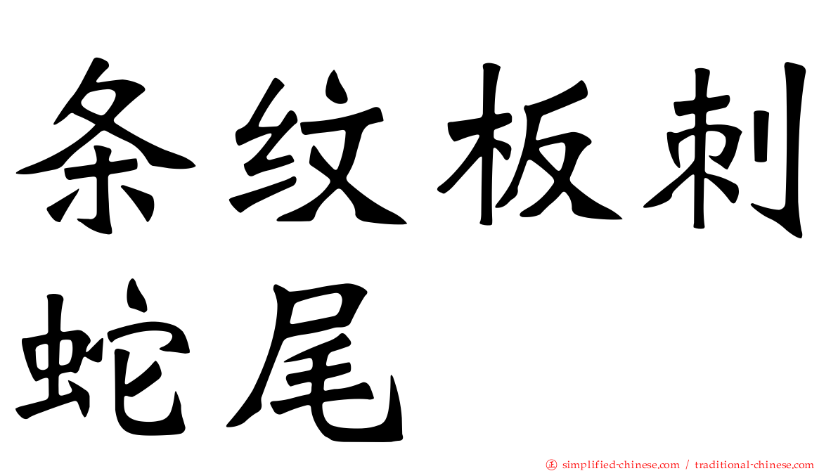 条纹板刺蛇尾