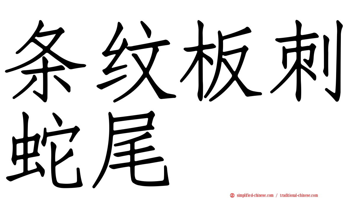 条纹板刺蛇尾
