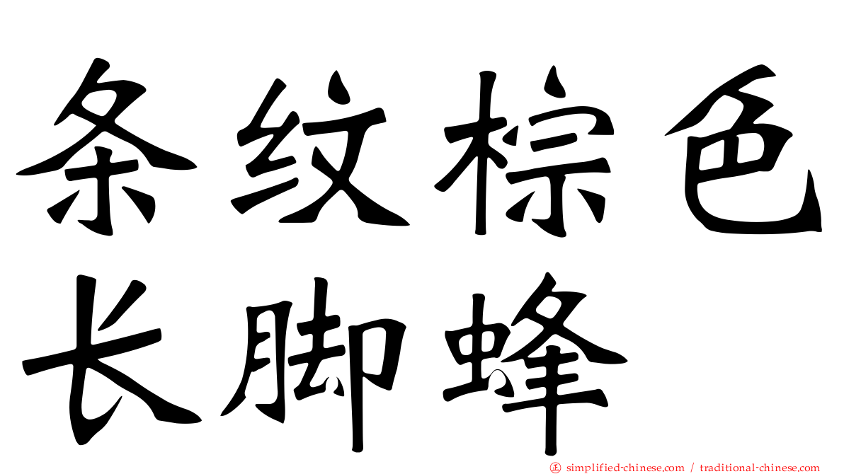 条纹棕色长脚蜂