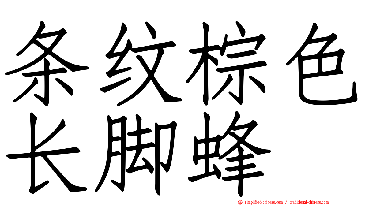 条纹棕色长脚蜂