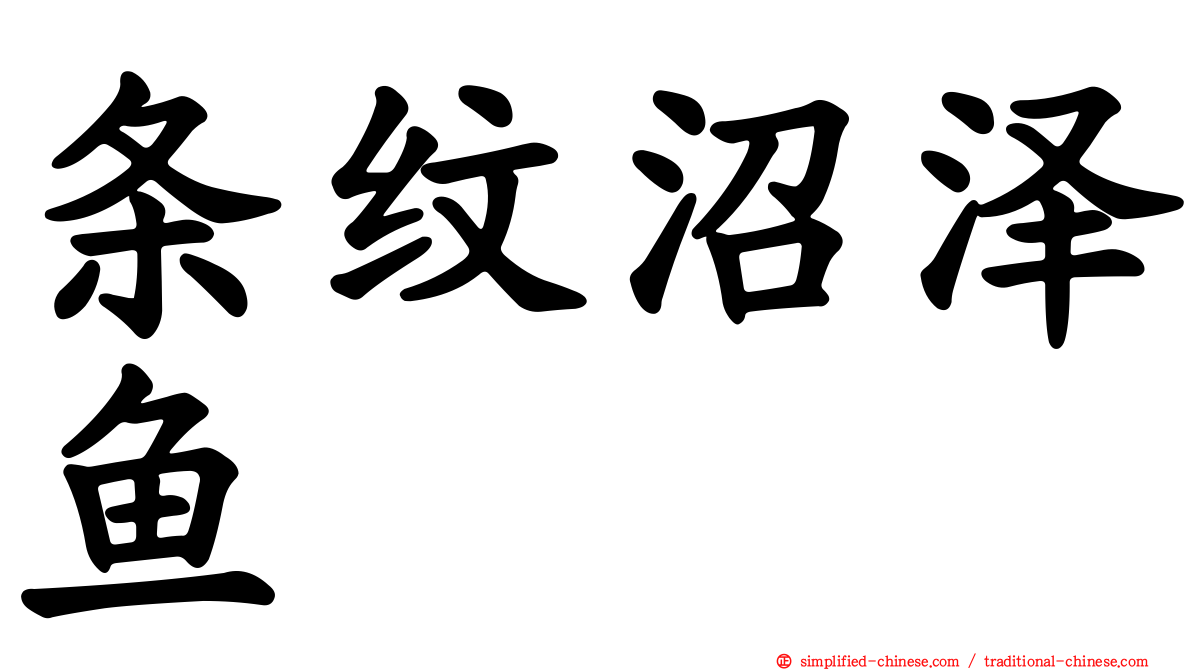 条纹沼泽鱼