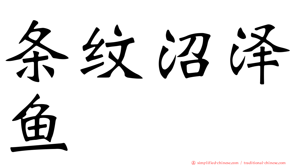 条纹沼泽鱼