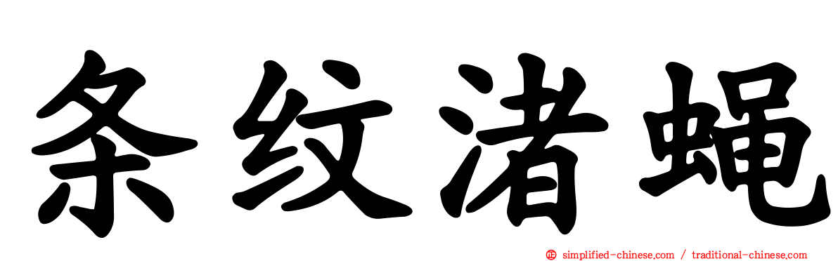 条纹渚蝇