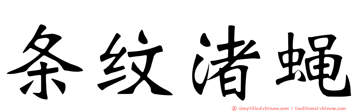 条纹渚蝇