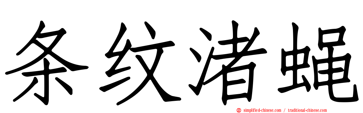 条纹渚蝇