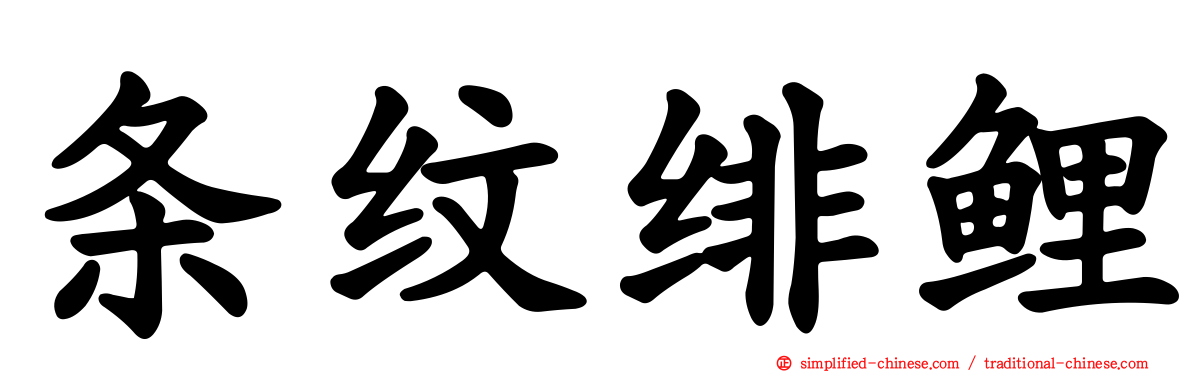 条纹绯鲤