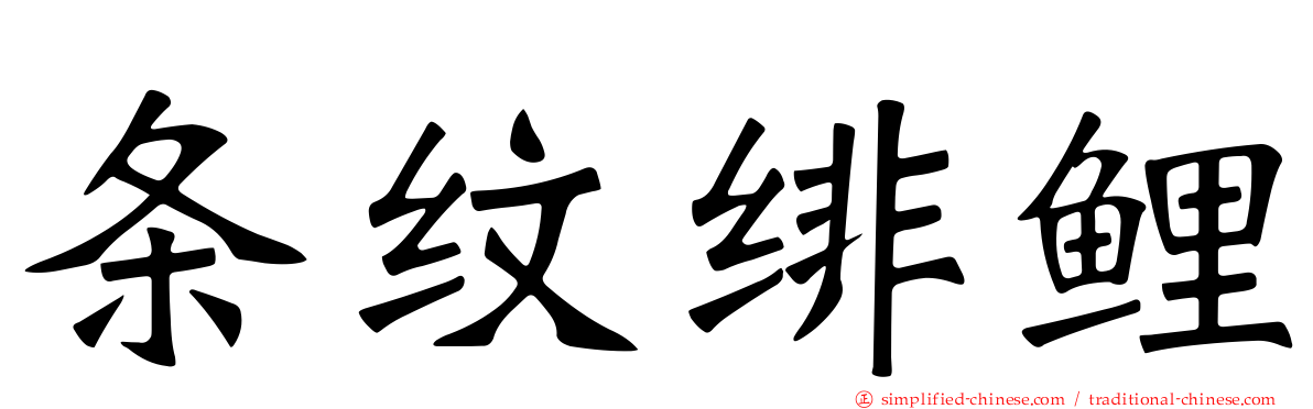 条纹绯鲤