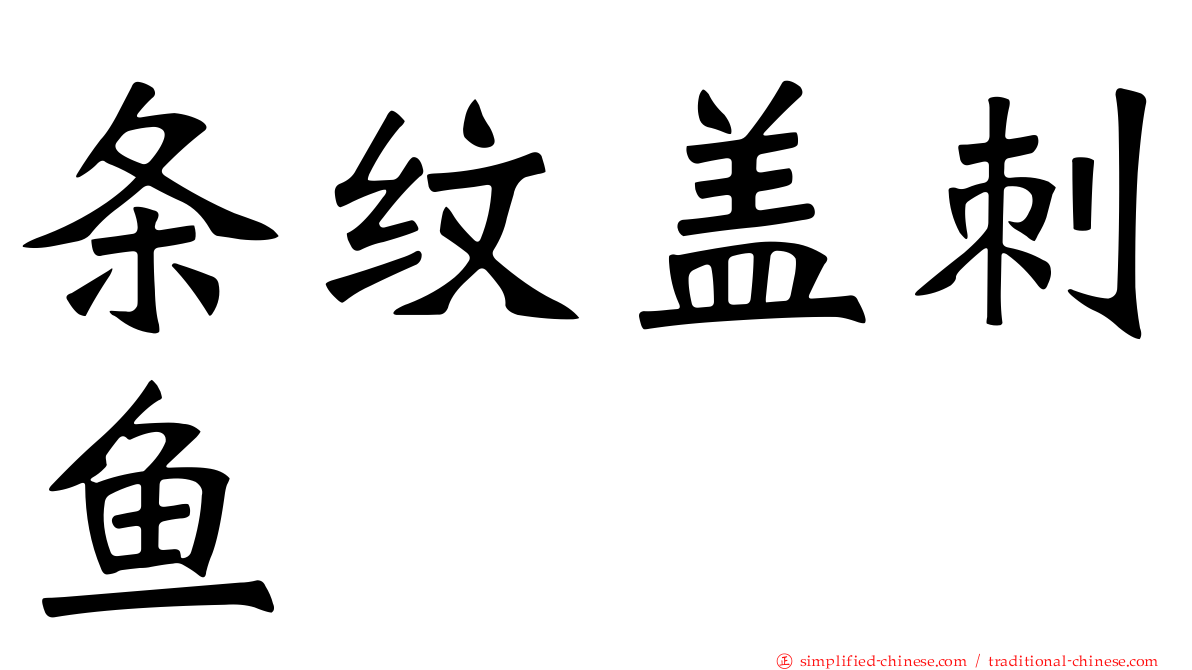条纹盖刺鱼