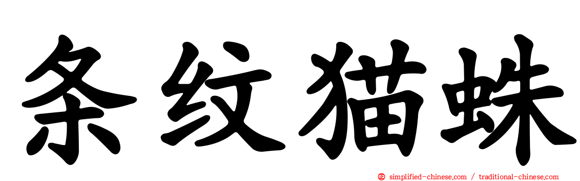 条纹猫蛛