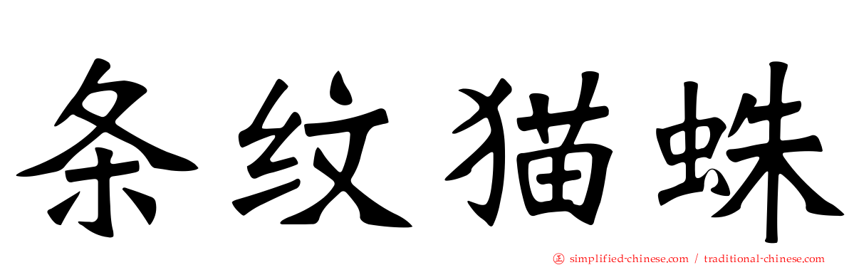 条纹猫蛛