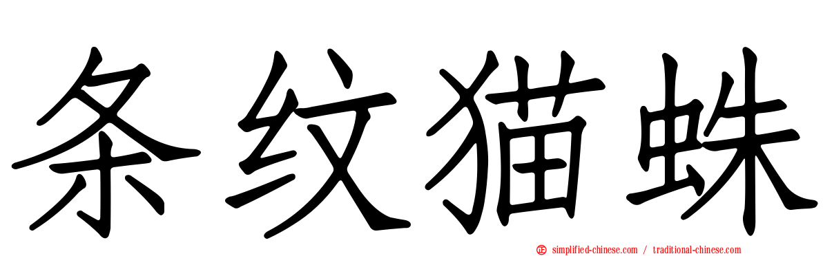 条纹猫蛛