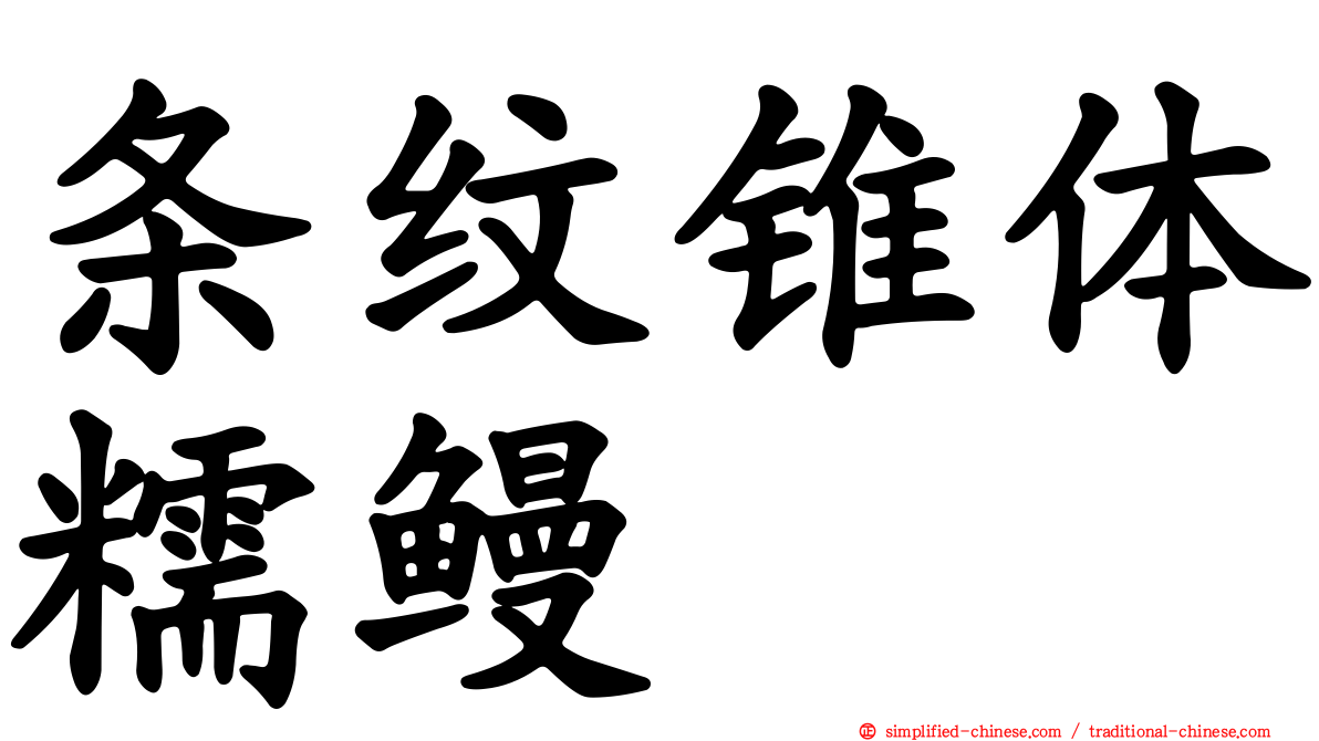 条纹锥体糯鳗