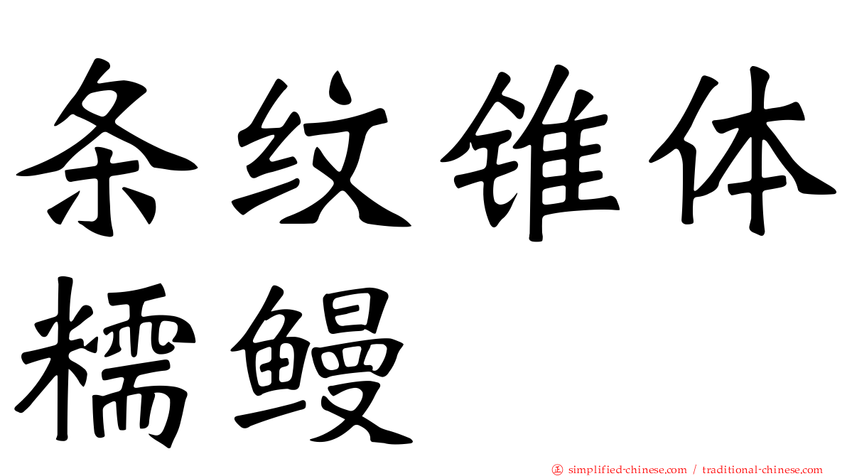 条纹锥体糯鳗