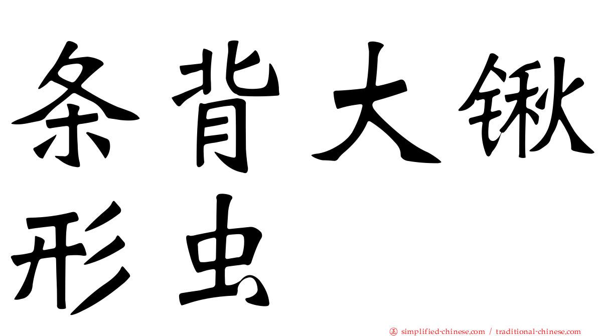 条背大锹形虫