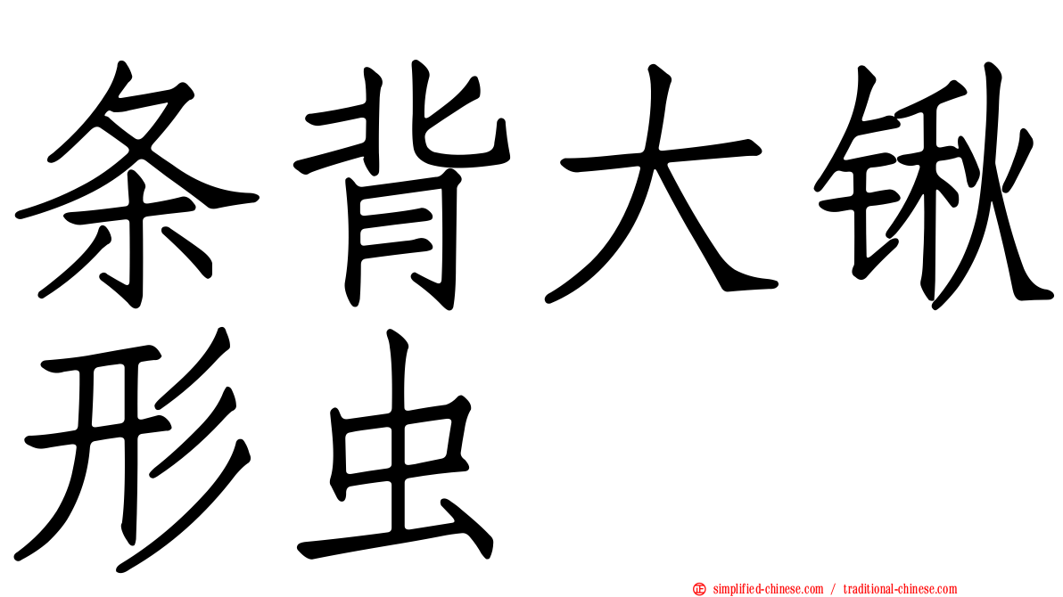 条背大锹形虫