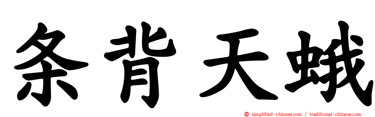 条背天蛾
