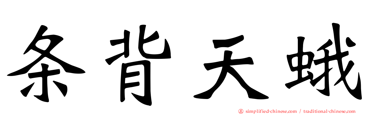 条背天蛾