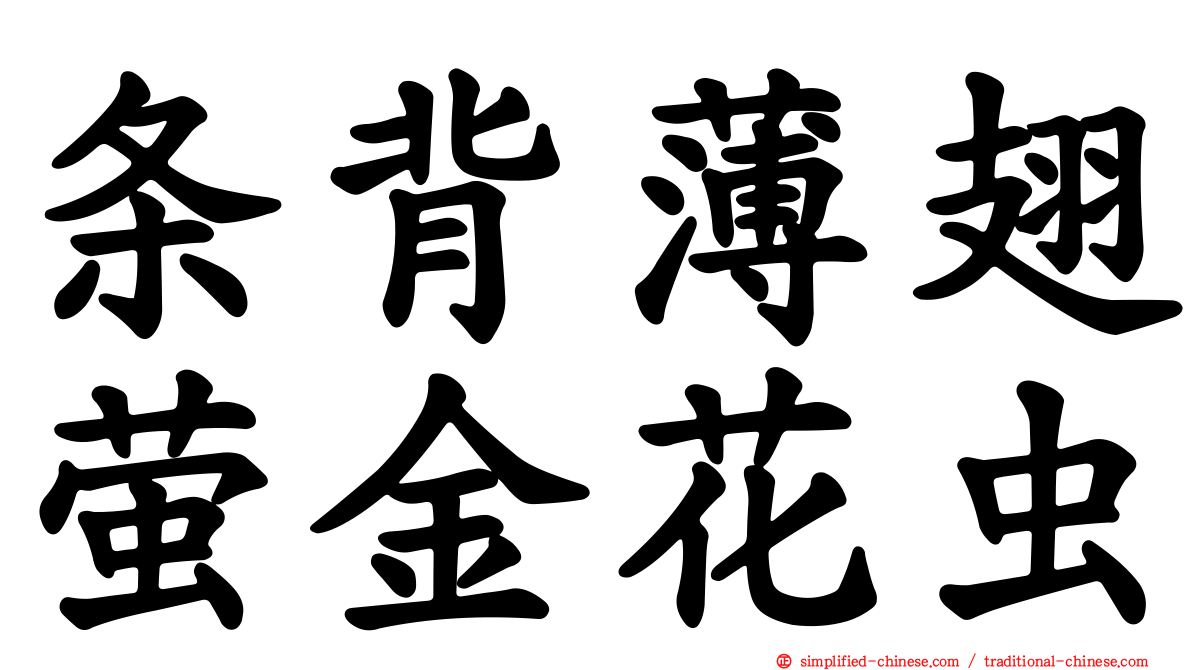 条背薄翅萤金花虫