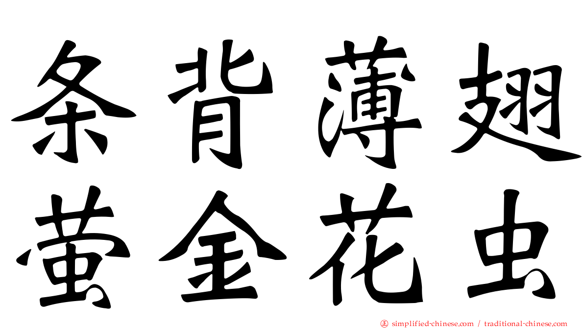 条背薄翅萤金花虫