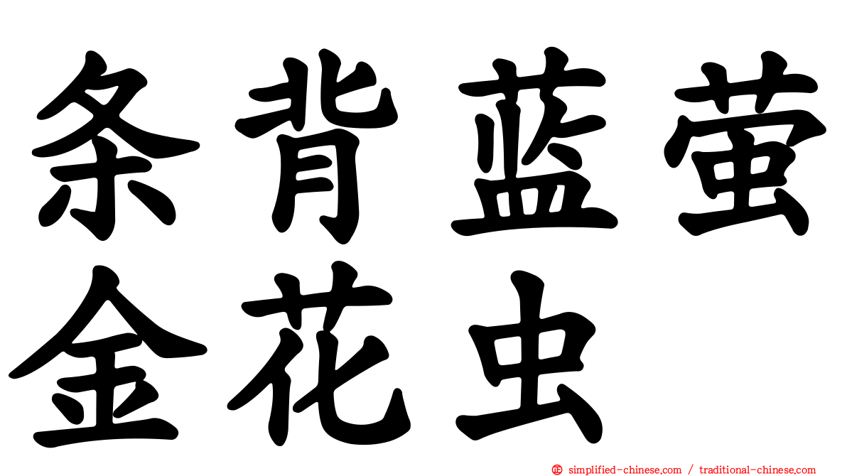 条背蓝萤金花虫