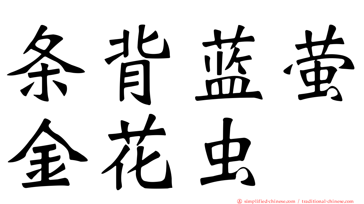 条背蓝萤金花虫