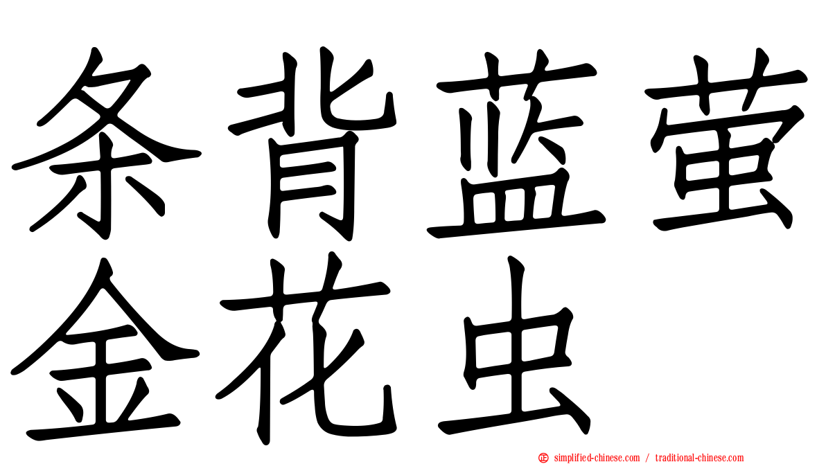 条背蓝萤金花虫