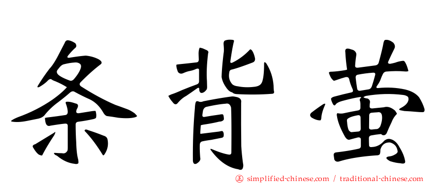 条背萤